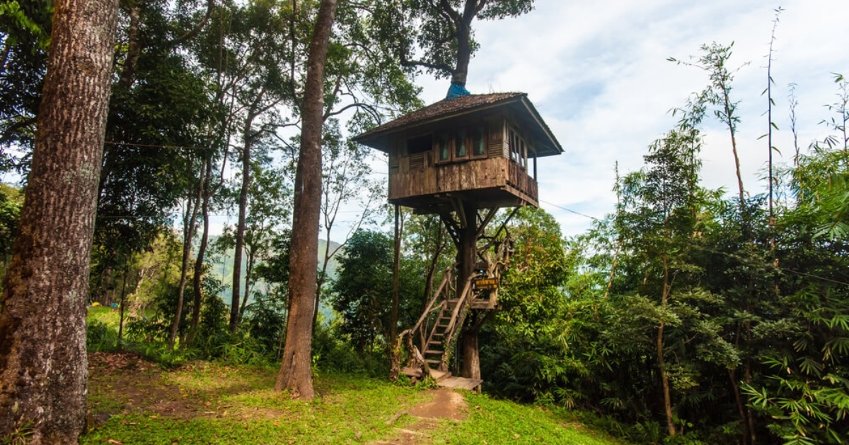 Sonha em construir uma casa na árvore? Saiba o que levar em consideração na  hora de tirar essa ideia do papel INBEC Pós-Graduação - Especialização  Engenharia, Arquitetura