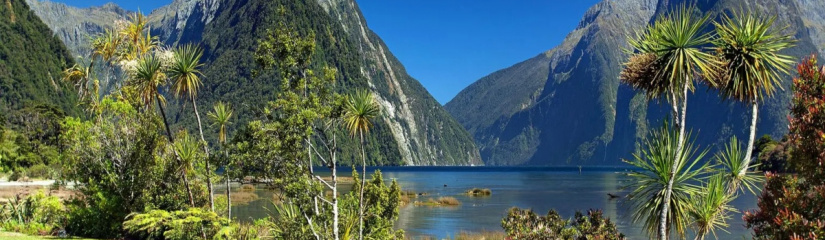 Nova Zelândia é eleita o melhor lugar do mundo para sobreviver a um colapso global